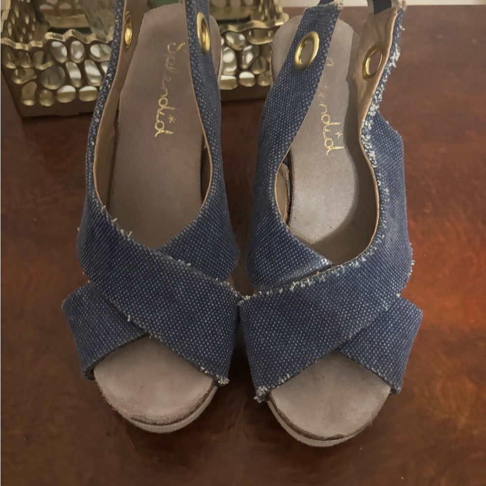 Splendid Denim Blue Wedge Sandals
